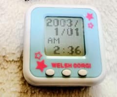 【動作確認済】リストわんこ コーギー リストバンド付きのサムネイル