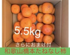 柿　たねなし柿　刀根早生柿　和歌山橋本 5.5kgのサムネイル