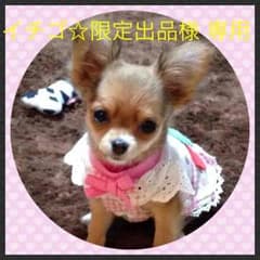 新品、タグ付き☆新生児アウターのサムネイル