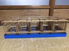 メジロ籠　水浴び籠 m19625678632_1.jpg?1740362138