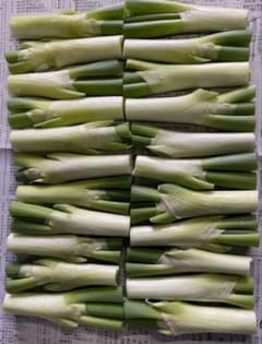 その日その日の余りねぎ☆600gのサムネイル