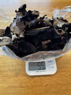 信州産　乾燥岩茸　55gのサムネイル