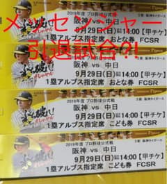チケット 9/29甲子園球場阪神戦1塁アルプス大2 小2 4連番通路側のサムネイル