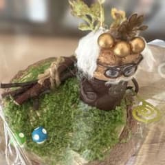 もりじいのきのこがりのサムネイル