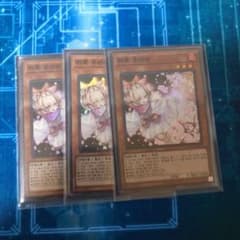 遊戯王 灰流うらら　韓国　3枚のサムネイル