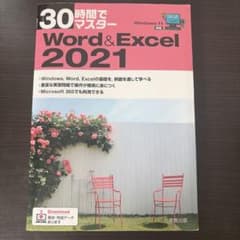 30時間でマスターWord&Excel2021のサムネイル