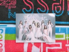 Flower 白雪姫 DVD CDのサムネイル