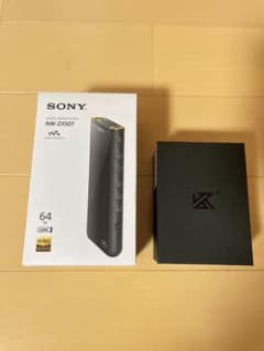 SONY  ウォークマン NW-ZX507【64GB】＋イヤホン＋別途購入品のサムネイル