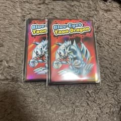 遊戯王 ブルアイズ•トゥーン•ドラゴン プロテクター2点セット - メルカリ