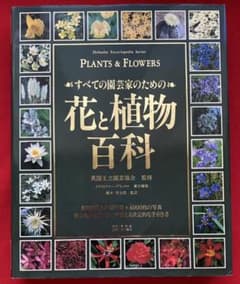 値下げしました❗️すべての園芸家のための花と植物百科　定価¥16,019のサムネイル