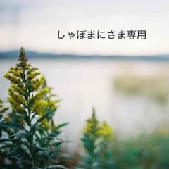 しゃぼまにさま専用 ローライフレックスT ジャンク品のサムネイル