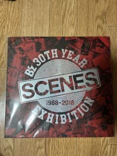 B'z 30THYEAR SCENES パンフのサムネイル