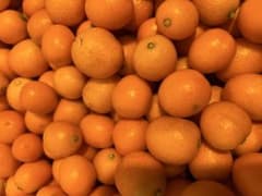 宮崎県産無農薬キンカン！1キロ‼️のサムネイル