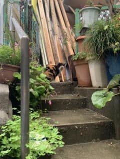 やん様専用のサムネイル