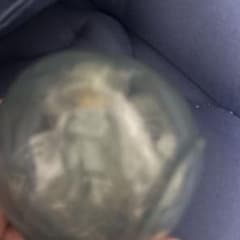 おもちゃ大好き様のサムネイル