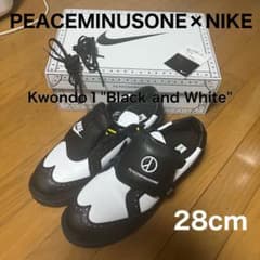 PEACEMINUSONE×NIKE Kwondo 1 (28cm)のサムネイル