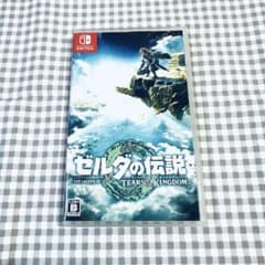 美品　動作確認済　ゼルダの伝説 ティアーズオブ ザ キングダム Switch