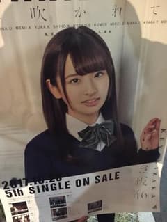 欅坂46 井口 ポスターのサムネイル