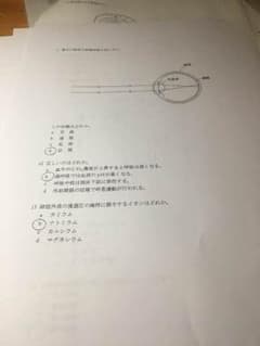 歯科衛生士 問題集のサムネイル