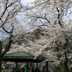 専用のサムネイル