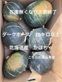②かぼちゃ 箱込み約10キロ以上のサムネイル