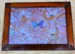 m19680224611_1.jpg?1679583960