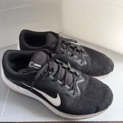 Nike スニーカー 30cmのサムネイル