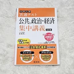 未使用品 大学入学共通テスト 公共 政治 経済 集中講義 五訂版