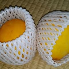 マクワうり　種　20粒のサムネイル