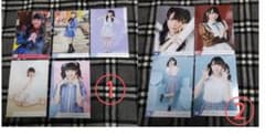 ノイミー 本田珠由記 生写真 バラまとめのサムネイル