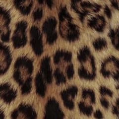 ゆ 様専用のサムネイル