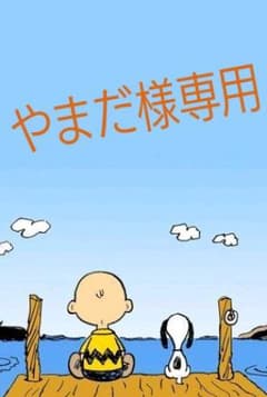 理想の息子 DVD-BOX〈6枚組〉のサムネイル