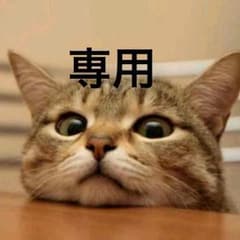 Jumpei様 専用のサムネイル