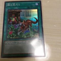 隣の芝刈りのサムネイル