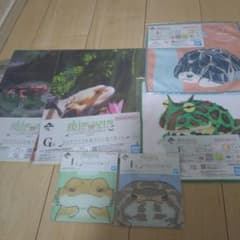 이치 반 쿠지 파충류 & 양서류 F상 G상 I상 세트
