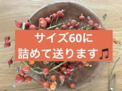 月桃の実　月桃　リース　スワッグ　ドライフラワー　ハンドメイドのサムネイル