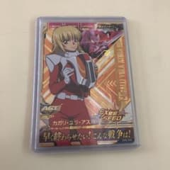 ライオン様 専用 トライエイジ  カガリのサムネイル