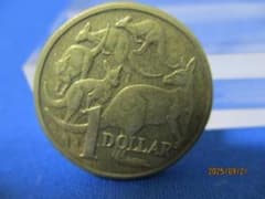 オーストラリア1ドル硬貨☆美品／1985年／5匹のカンガルー／エリザベス