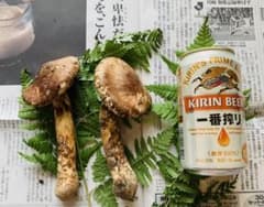 松茸　長野県中信産　200gのサムネイル