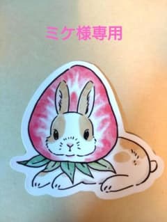 ミケ様専用　イヤリング　20点のサムネイル