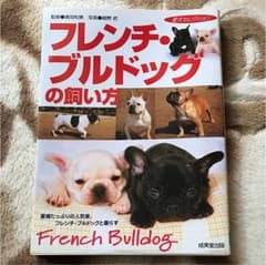 フレンチ・ブルドッグの飼い方のサムネイル