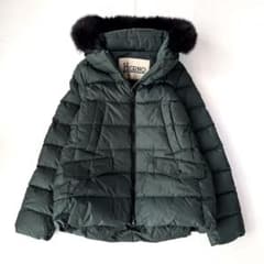 ヘルノ POLAR TECH ダウンコート 2way フォックスファー 44 ヘルノ POLAR TECH ダウンコート 2way フォックスファー 44 - メルカリ
