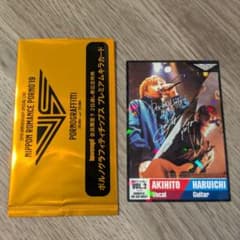 ポルノグラフィティチップス プレミアムキラカード - メルカリ