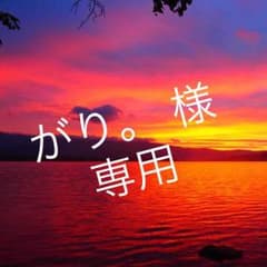 専用出品のサムネイル