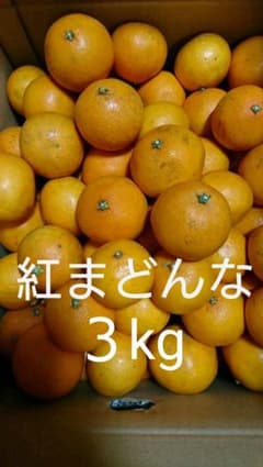 愛媛県産 紅まどんな(ご家庭用)３kgのサムネイル