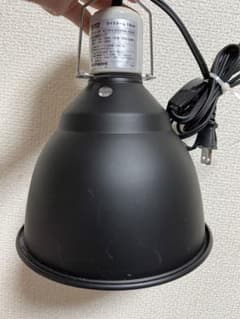 ライトドーム 18cm エキゾテラのサムネイル
