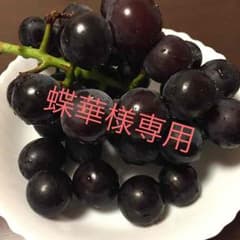 蝶華様専用ですのサムネイル
