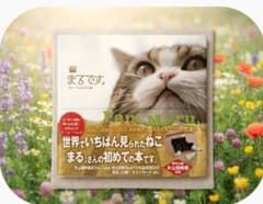 まるです。 DVDブック 世界でいちばん見られたねこ まる 写真集 第１刷のサムネイル