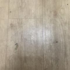 coco様返品のサムネイル