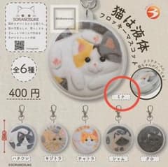 猫は液体 フロッキーマスコット【ミケ】のサムネイル
